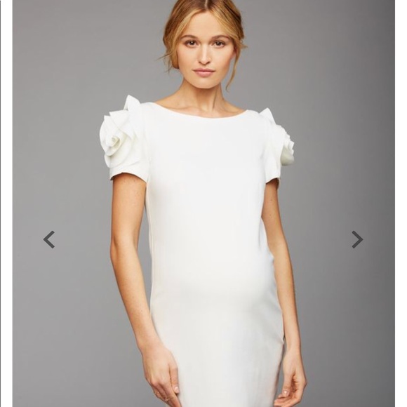 A Pea in the Pod Dresses & Skirts - A pea in the pod Pietro Brunelli Dress Size L